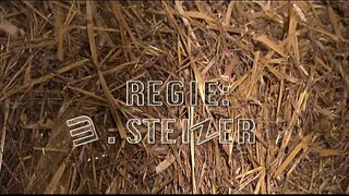 Сенне-Луччи