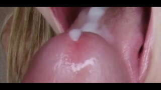 Fixation: ግምገማዎች ቅድሚያ Cock አምልኮ የታዘዘ 3