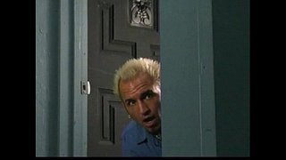 שיילה סטיילס