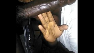 Пладне главата исклучување на каучот