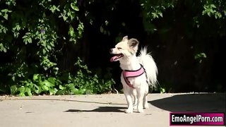 Миниатюралық татуировкасы бар сұлулық өз иттерін көршілерінің үйінен табады.Оның көршісі сыйақы алғысы келеді, олар киімдерін шешіп алады, содан кейін ол бигкоку көршілерінің тамағын кесіп тастайды.Бұған жауап ретінде оның көршісі оның киска мен есегін терең және қатаң түрде, оған дейін ұрады.