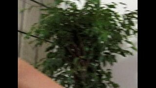 Метро - Леско секс - сәхнә 8 - 2 классификация